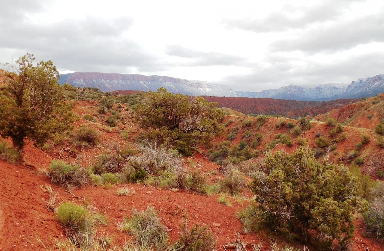 20140512_F_Onion Creek Road.webp