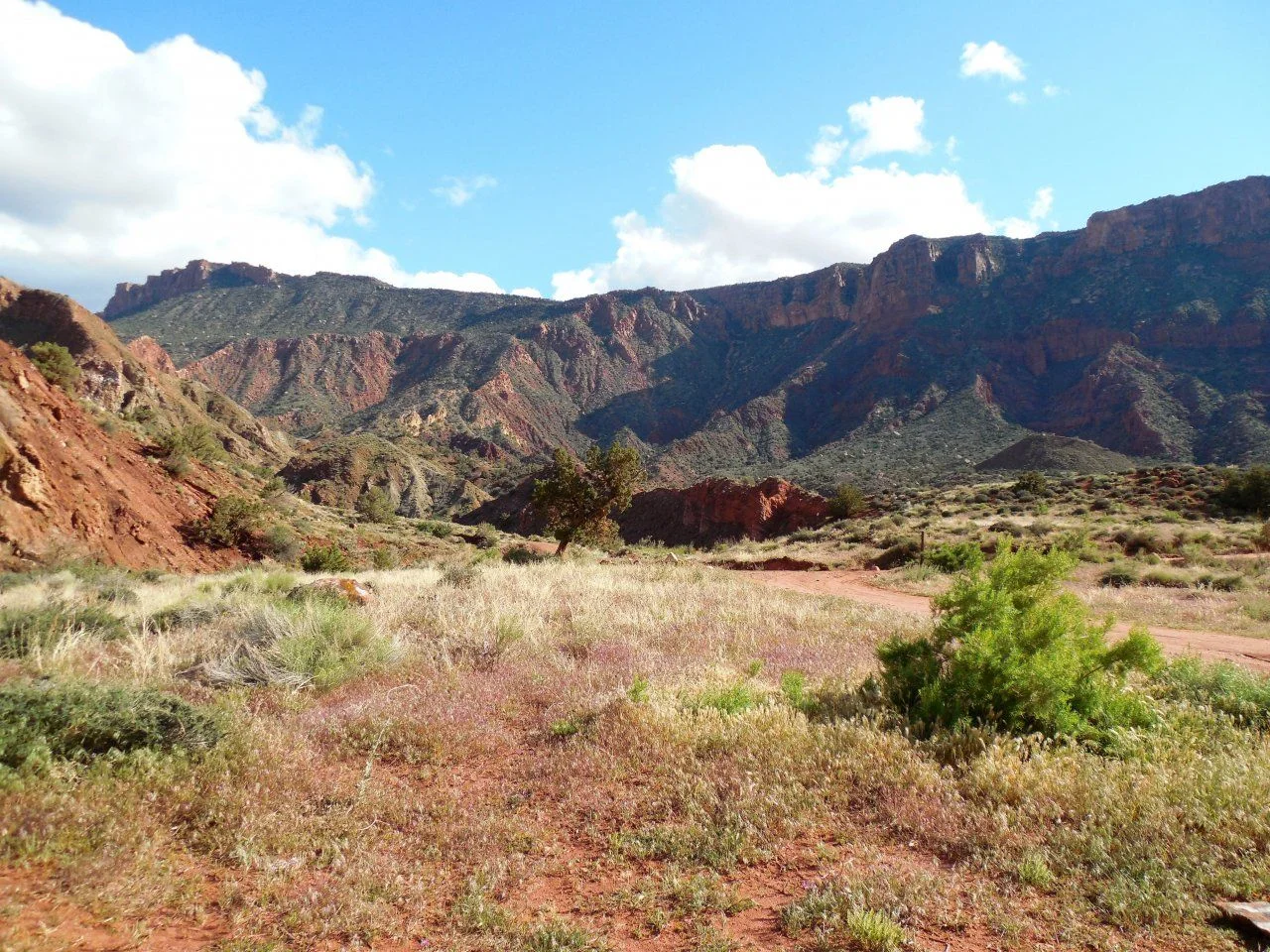 20140512_K_Onion Creek Road Camp.webp