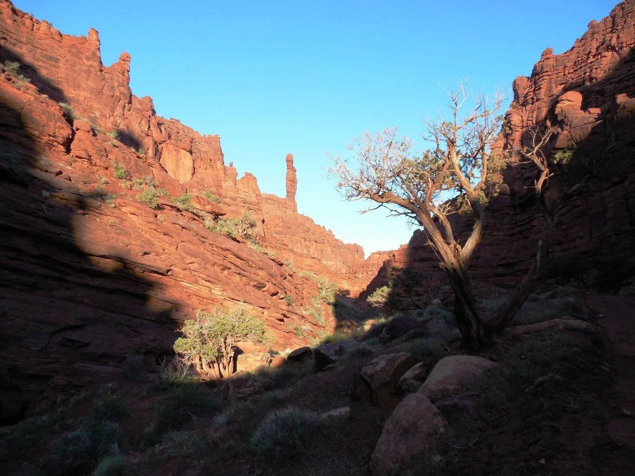 20140513_B_Onion Creek Road.webp