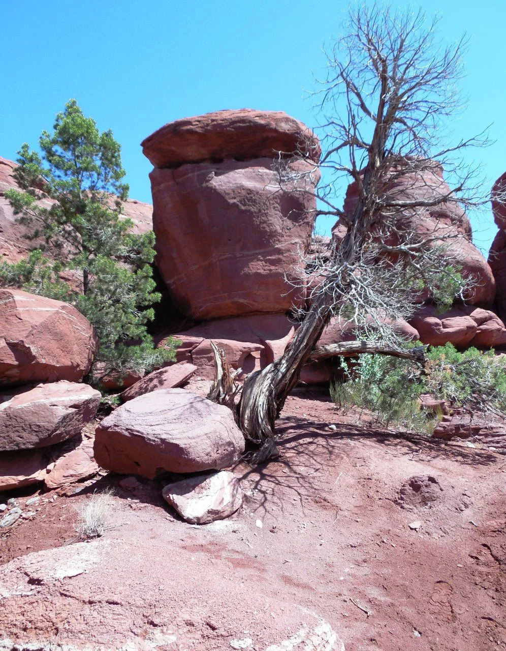 20140513_U_Onion Creek Road Camp.webp