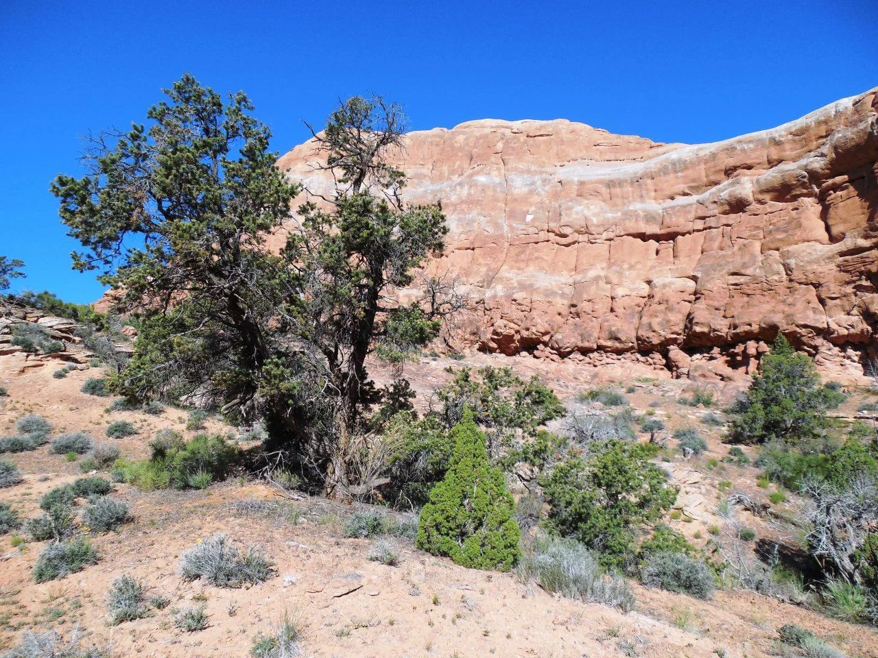 20140520_B_Dolores River Overlook Road.webp