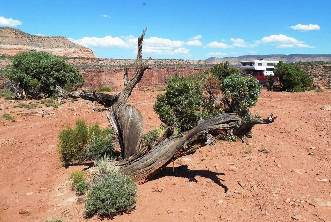 20140605_E_Overlook camp.webp