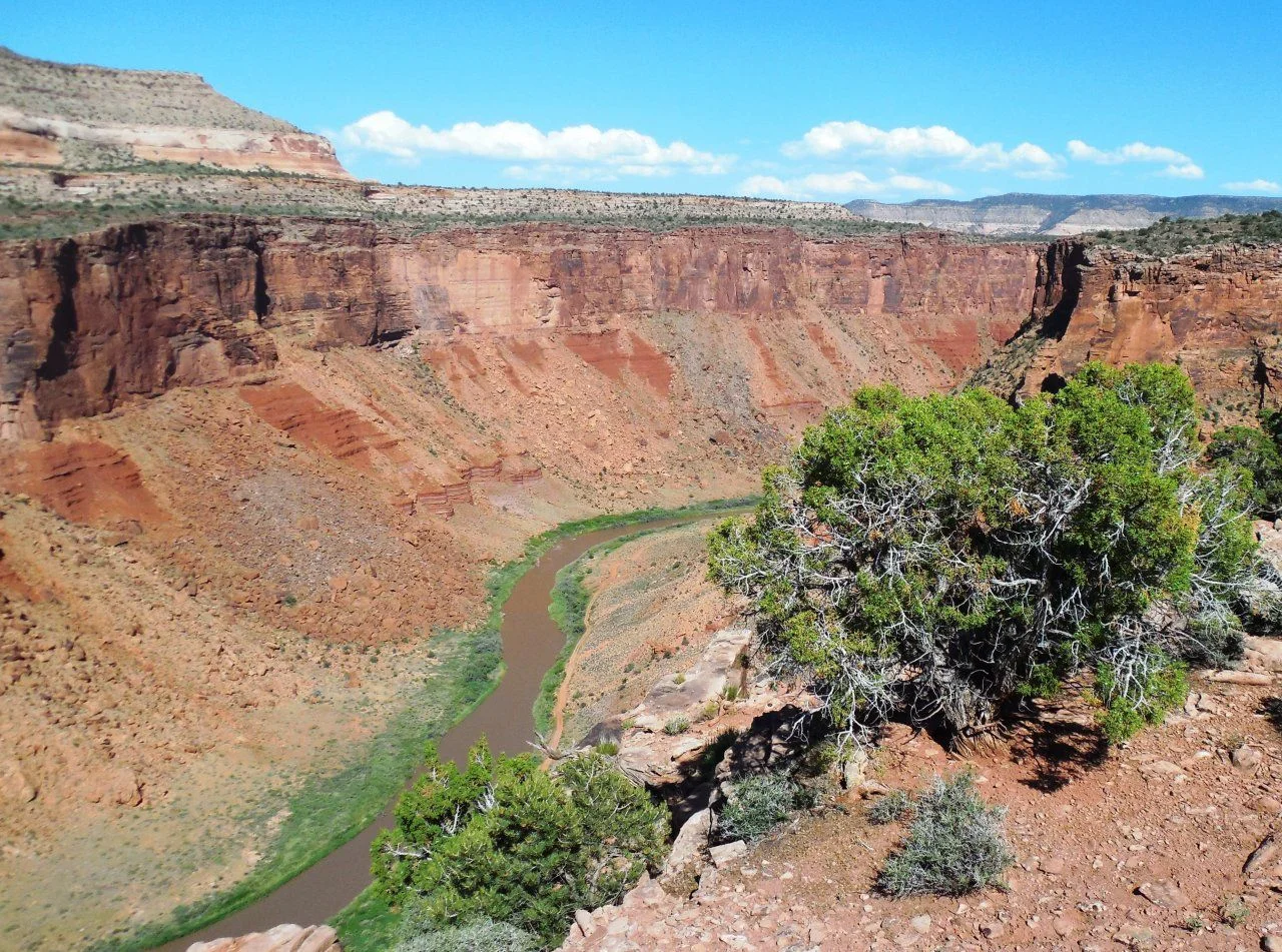 20140605_M_Dolores River Overlook.webp