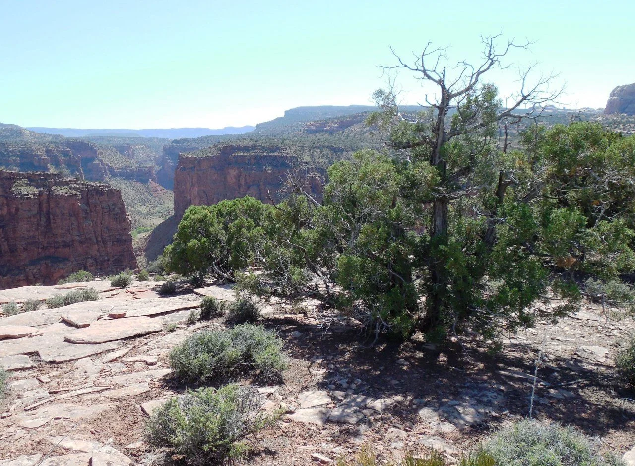 20140605_O_Dolores River Overlook.webp