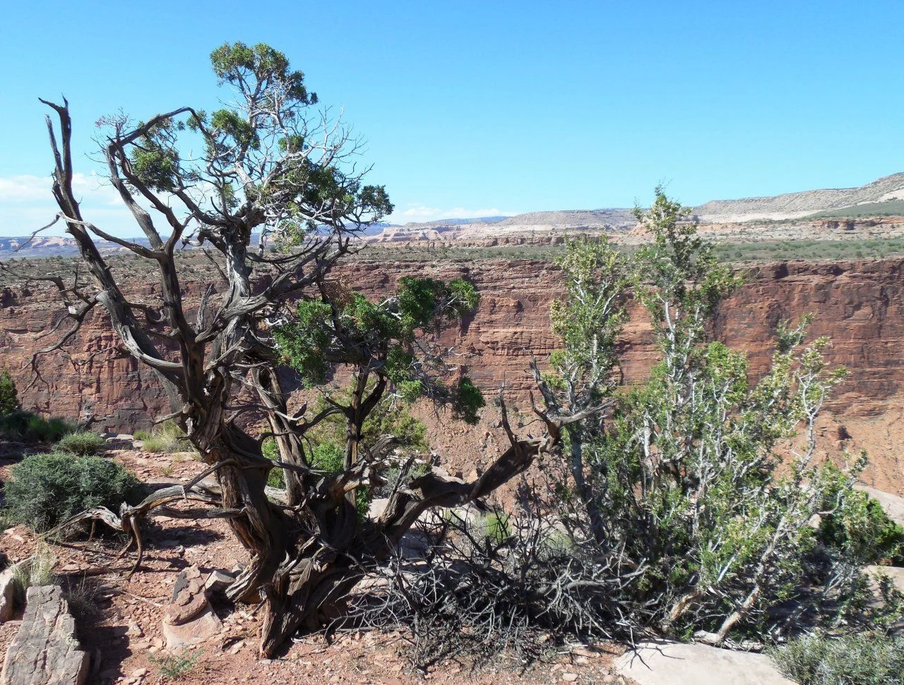 20140605_P_Dolores River Overlook.webp