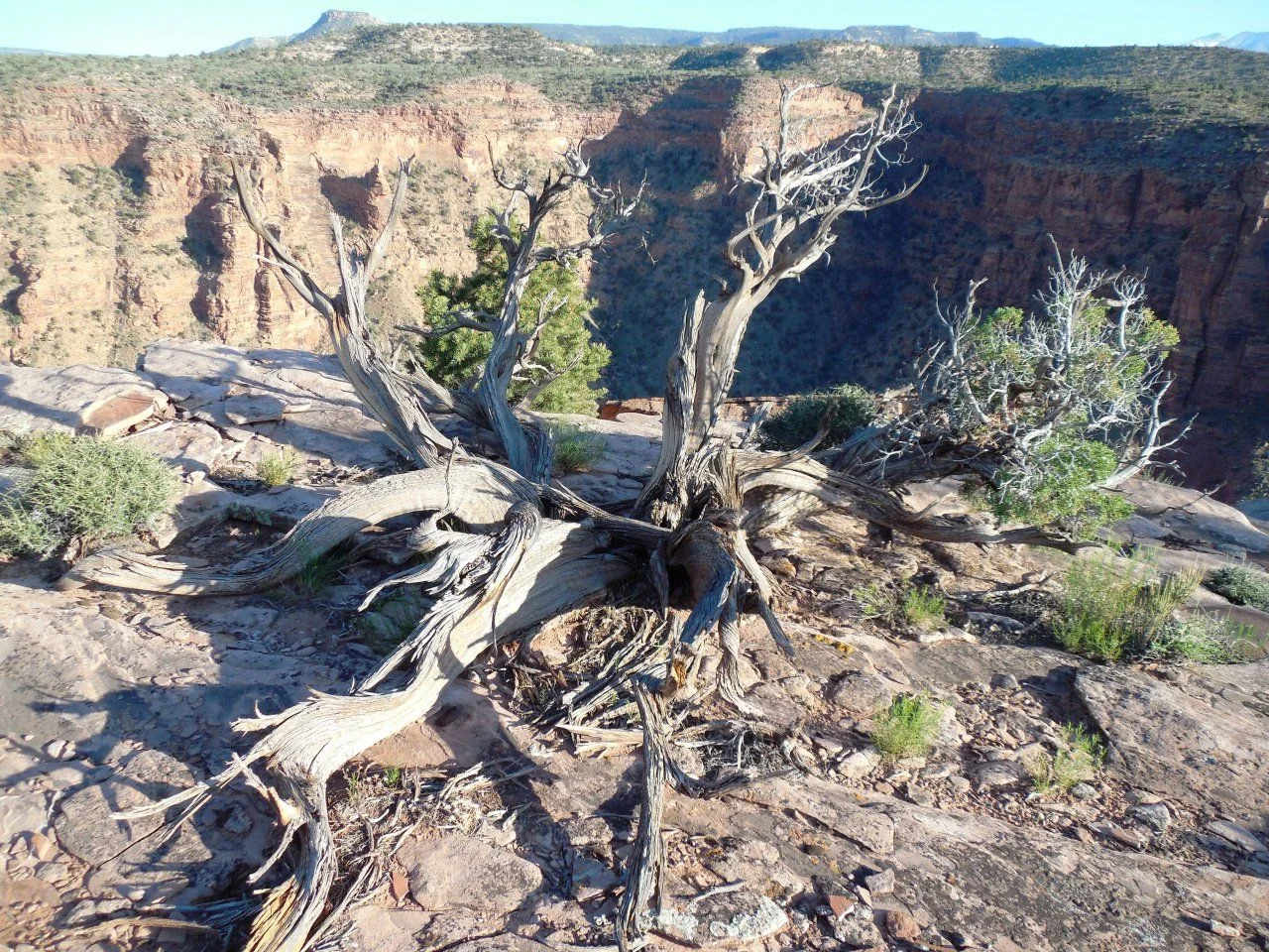 20140605_R_Dolores River Overlook.webp
