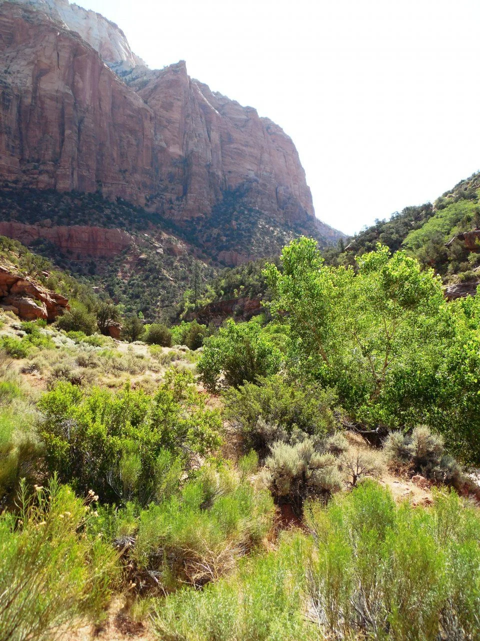 20140609_A_Zion National Park.webp