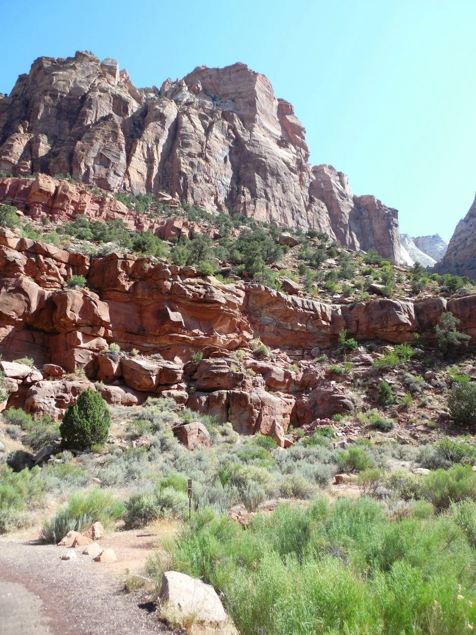 20140609_B_Zion National Park.webp