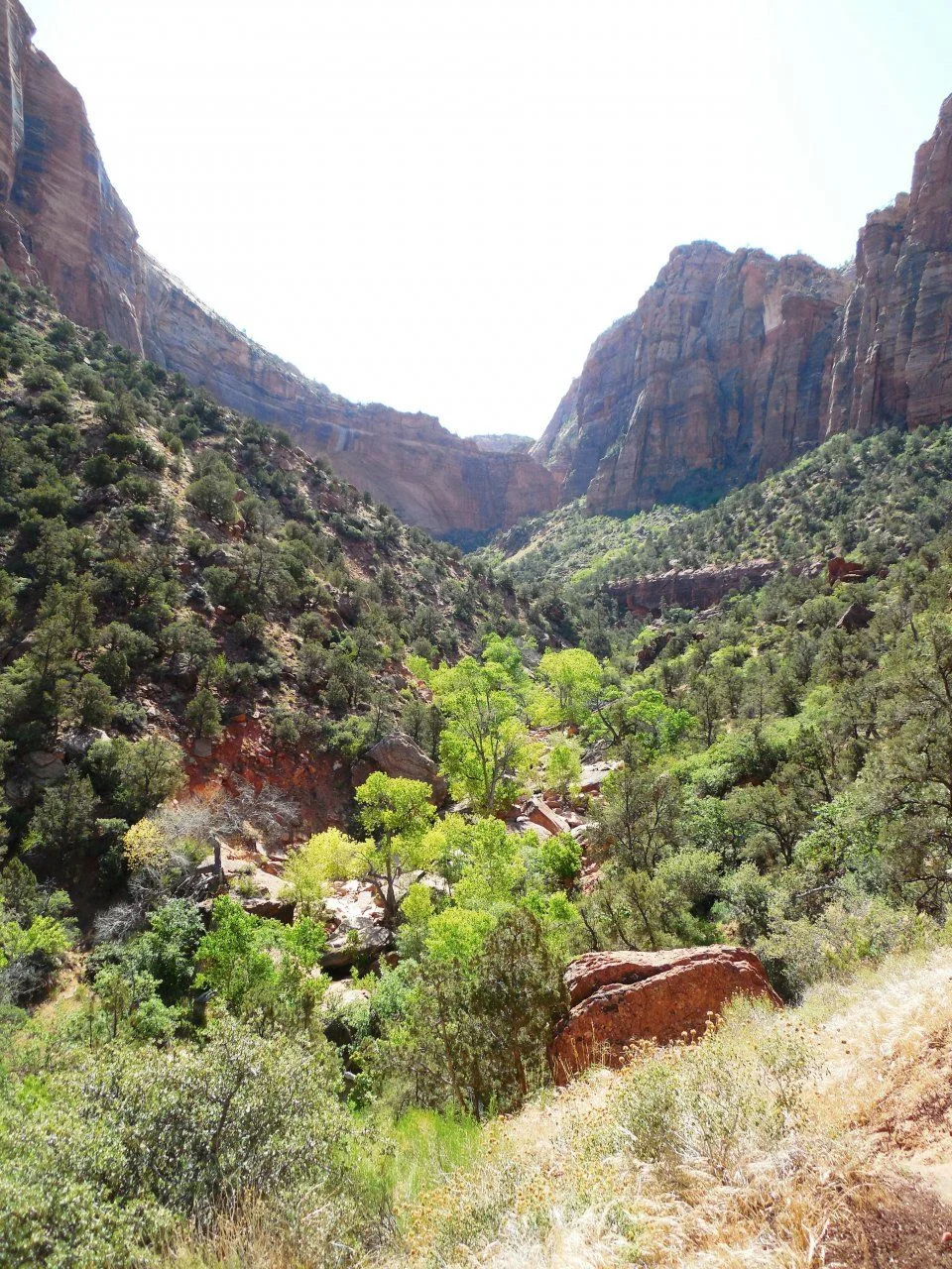 20140609_E_Zion National Park.webp