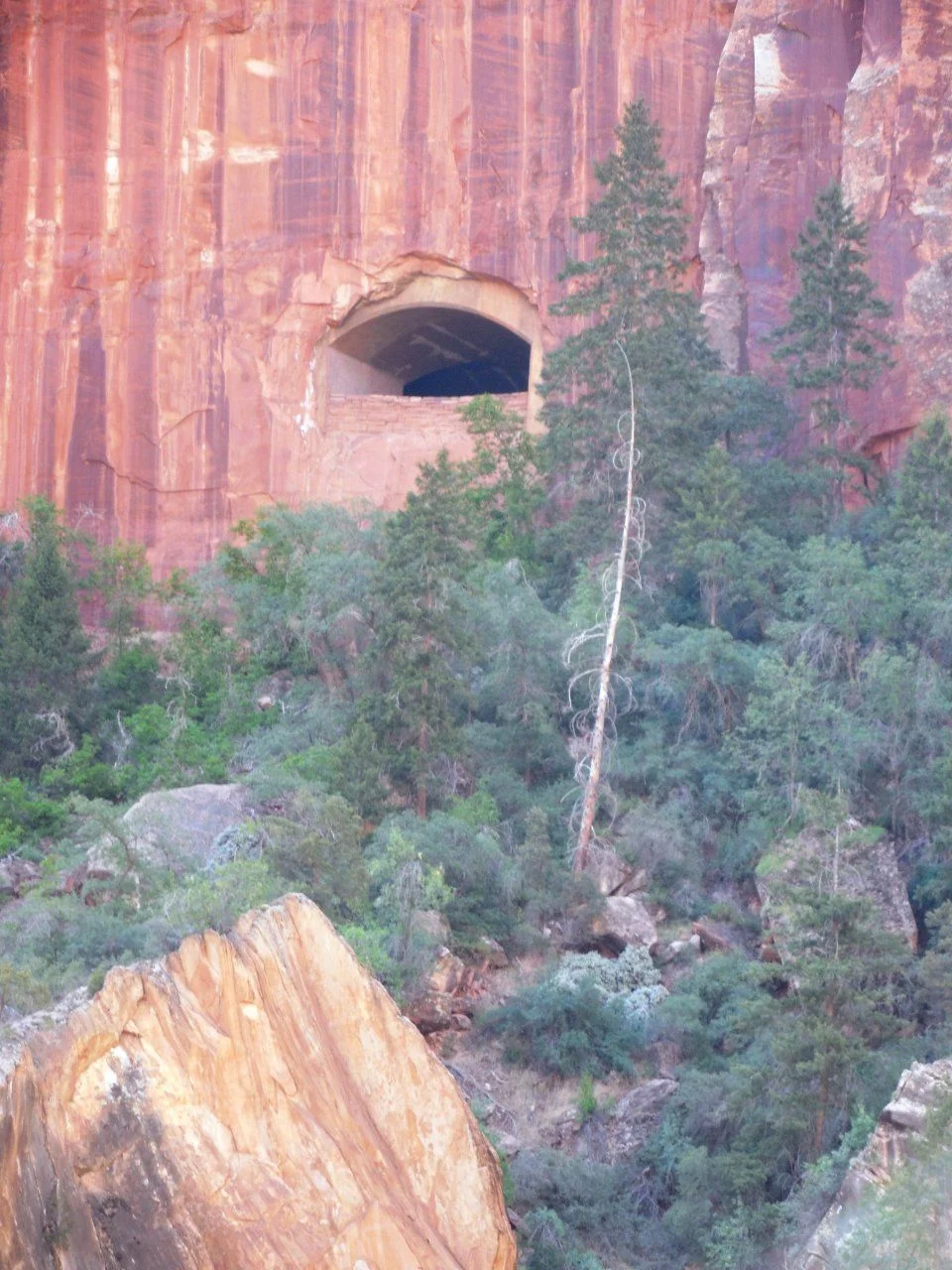20140609_F_Zion National Park.webp