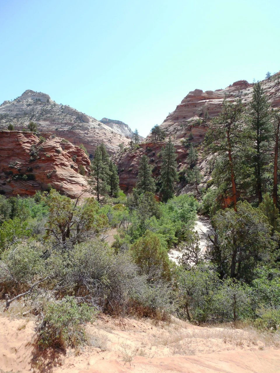 20140609_G_Zion National Park.webp