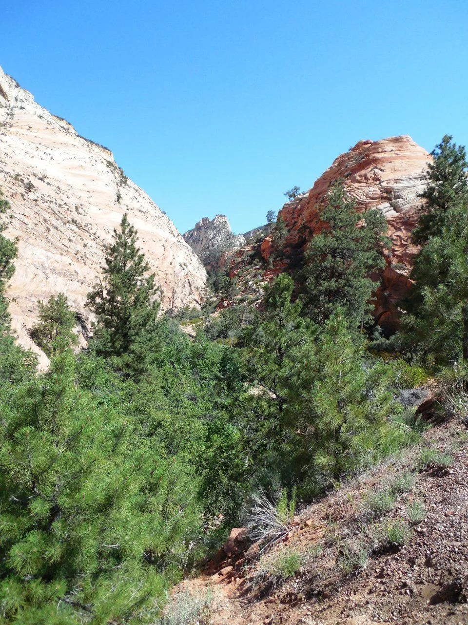 20140609_I_Zion National Park.webp