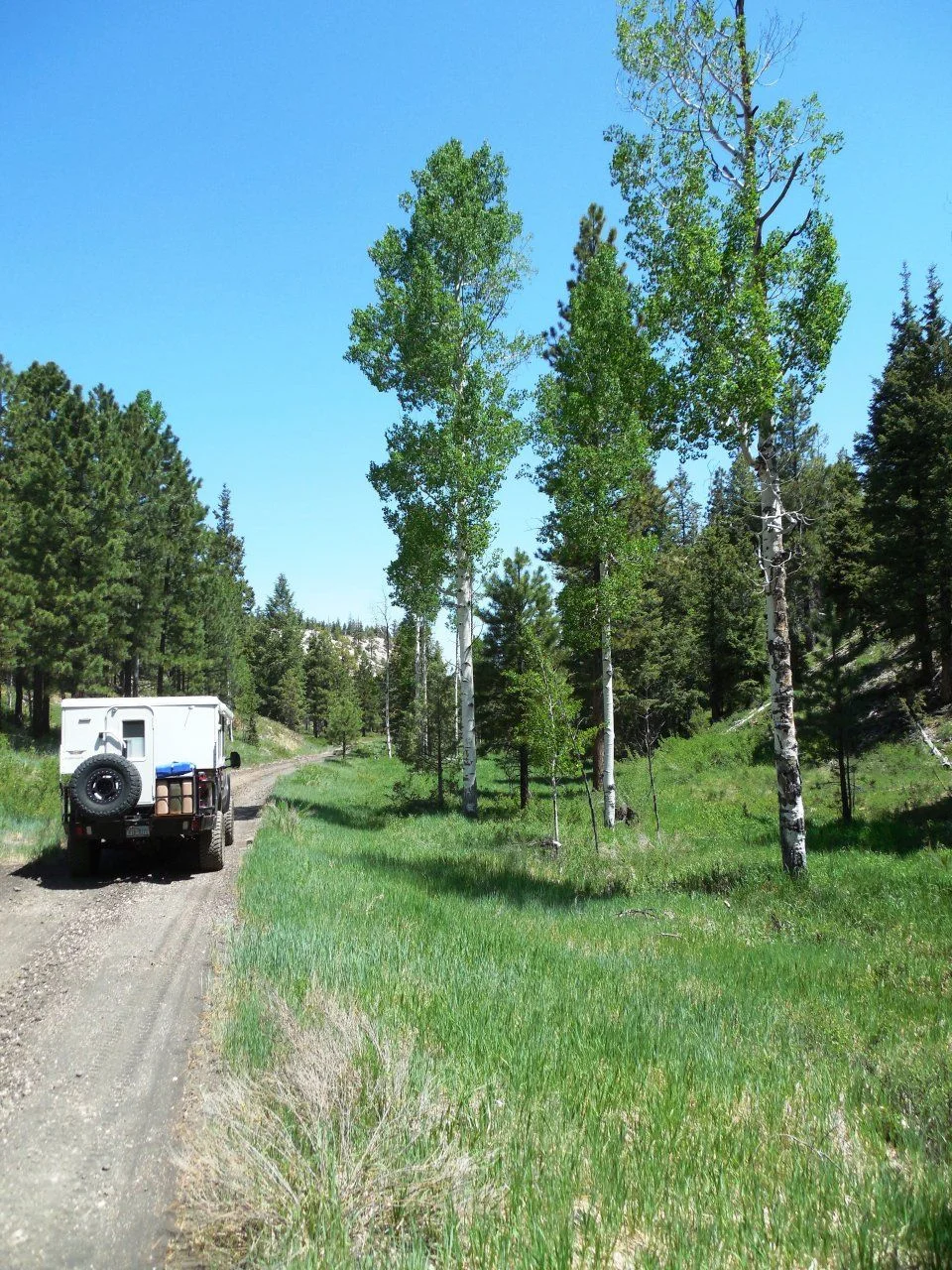20140609_J_Dixie National Forest.webp