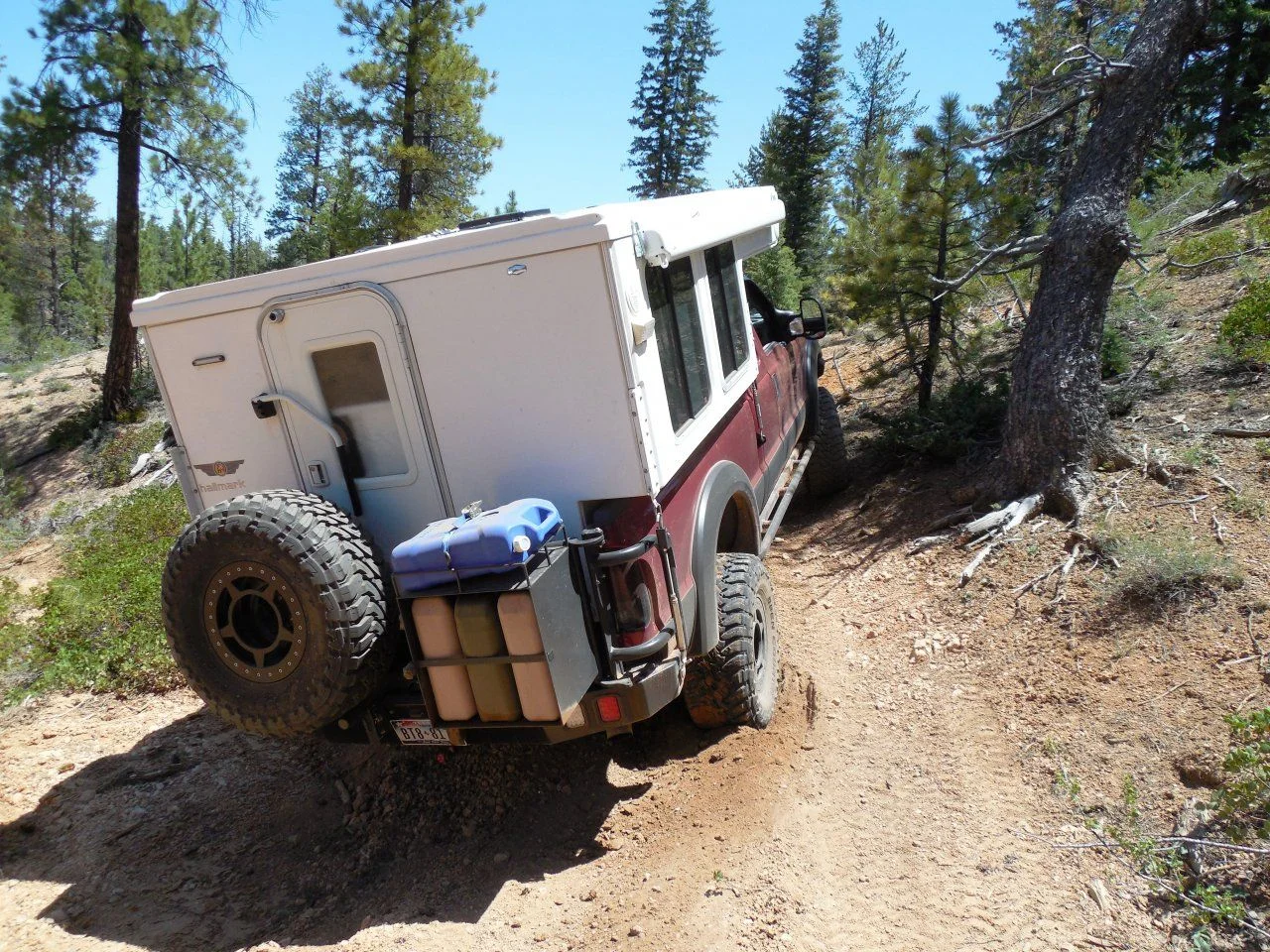 20140609_M_Dixie National Forest.webp