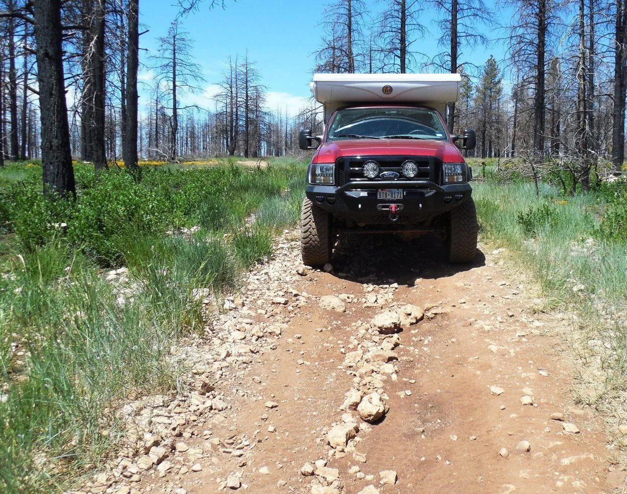 20140610_F_Dixie NF.webp