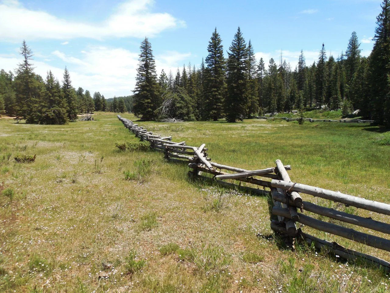 20140610_I_Swains Creek Valley.webp