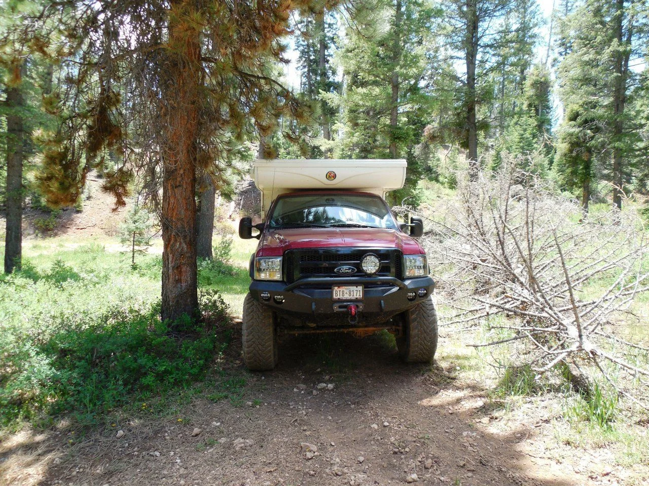 20140610_L_Dixie NF.webp