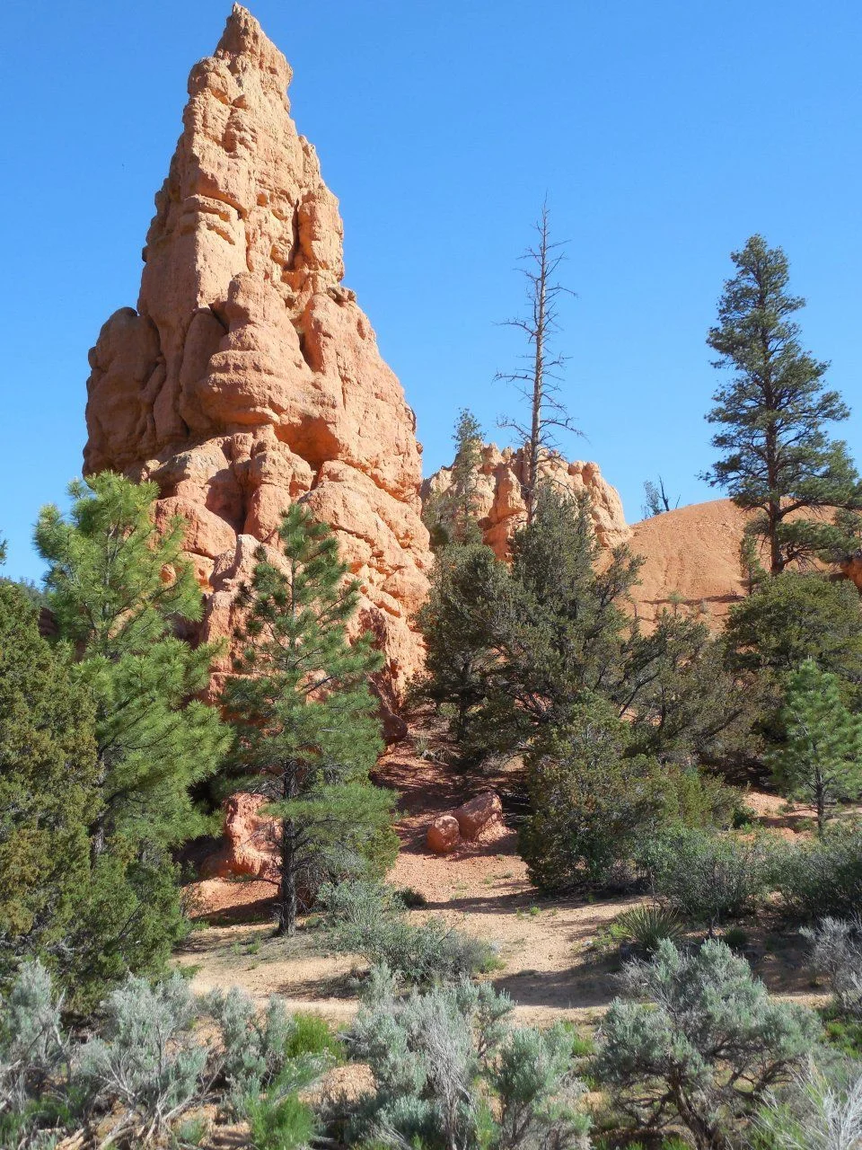 20140611_C_Red Canyon.webp