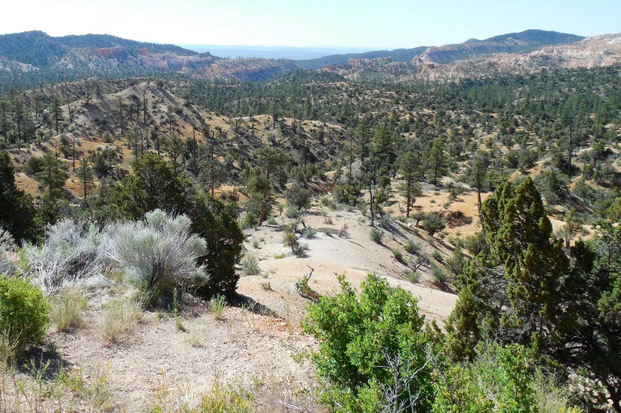 20140611_E_Near Bryce Canyon NP.webp