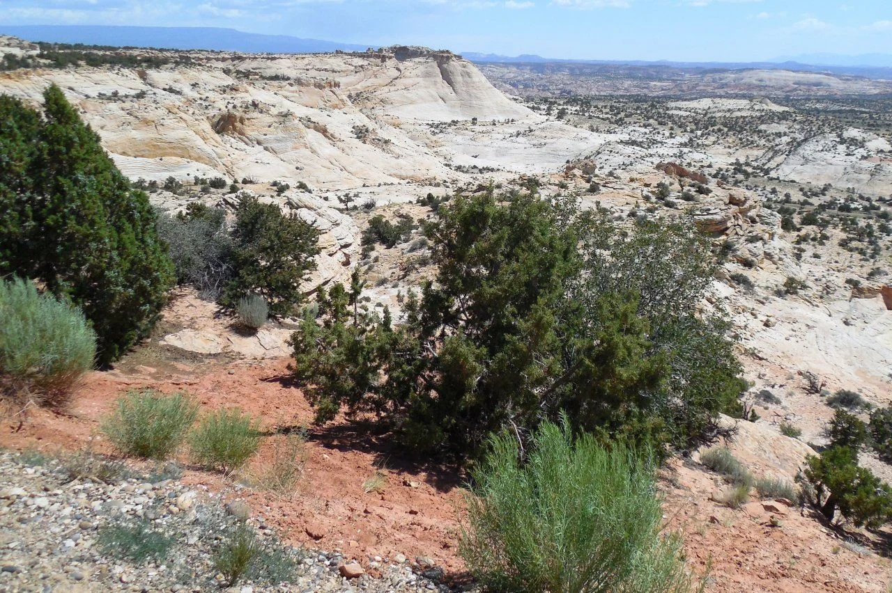 20140611_H_HWY 12 All-American Road.webp