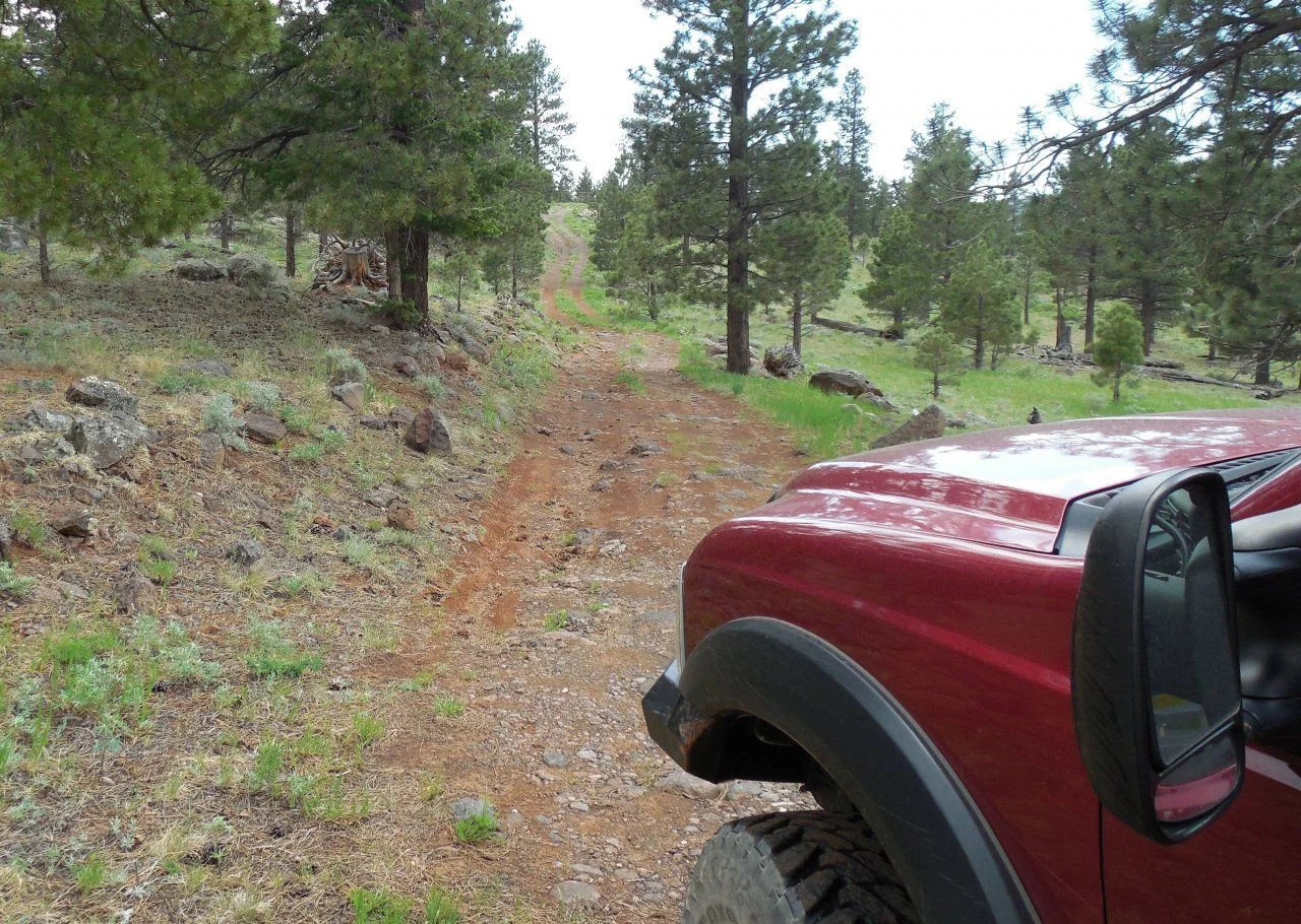 20140611_P_Dixie NF.webp