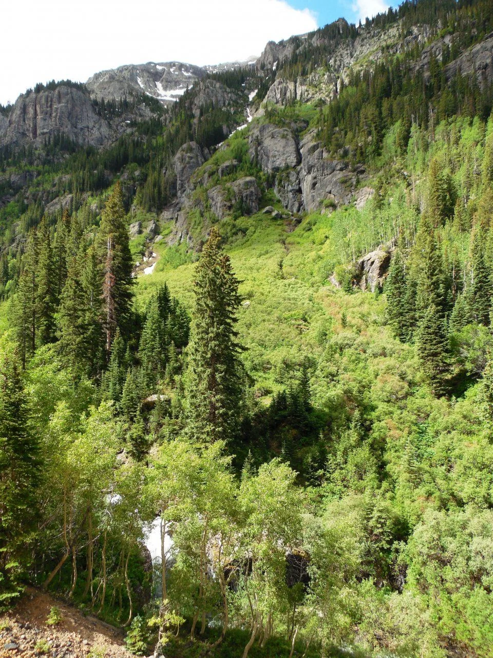 20140627_O_Engineer Pass Trail.webp