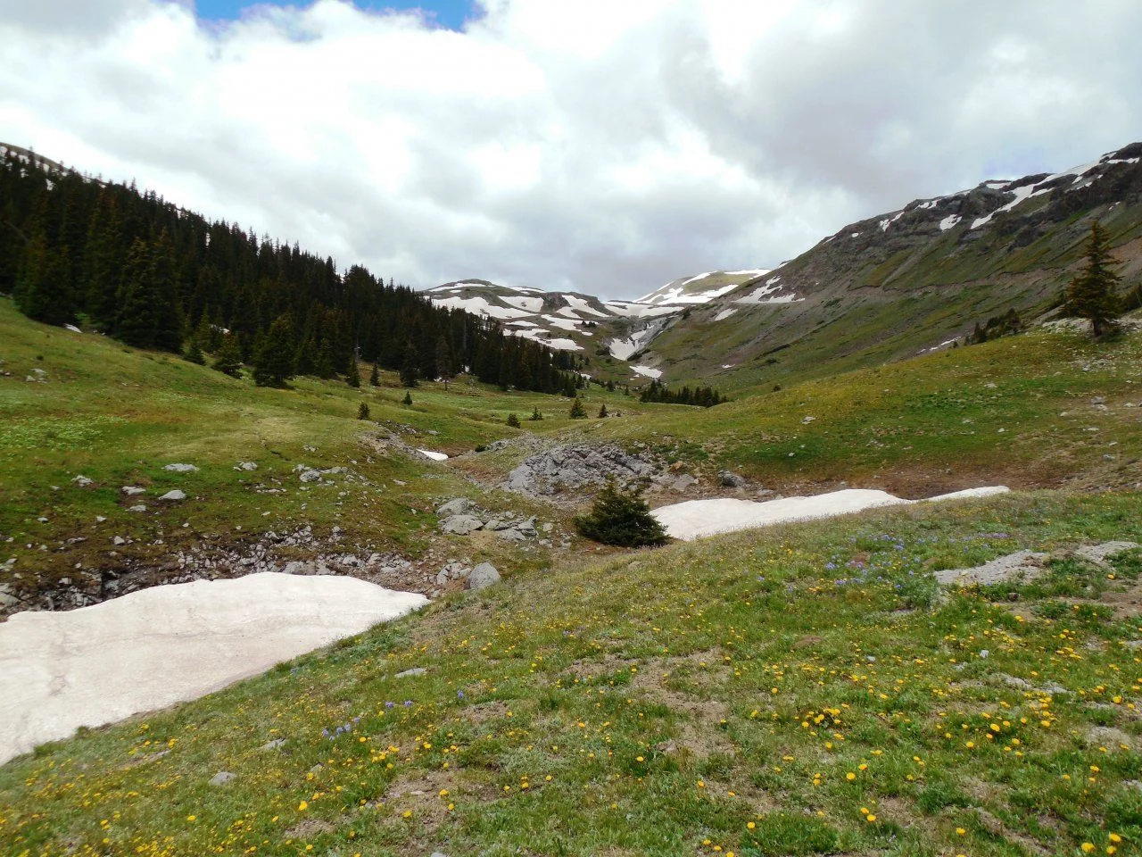 20140627_W_Engineer Pass Trail.webp