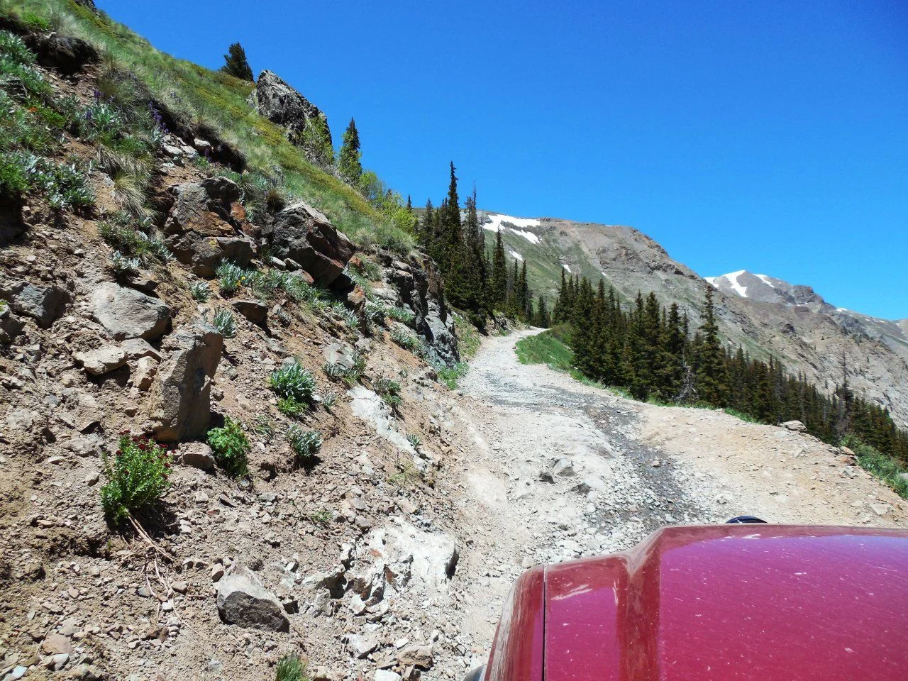 20140628_YE_Cinnamon Pass Trail.webp