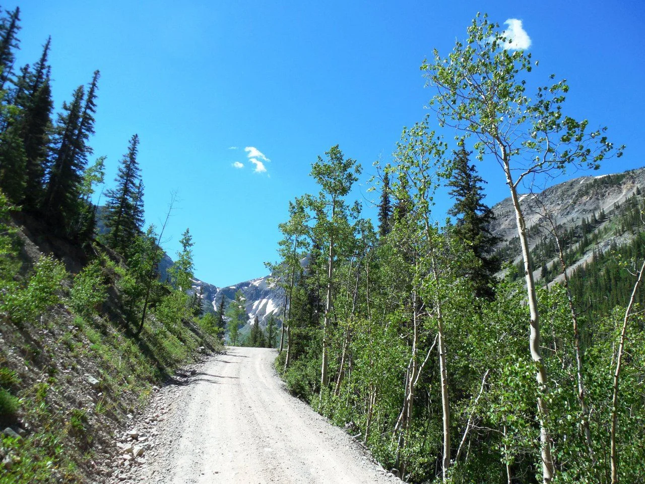 20140629_C_Arrastra Gulch Trail.webp