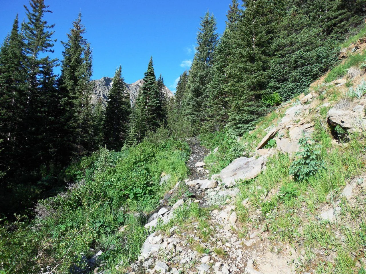20140630_A_Hope Lake Hike.webp