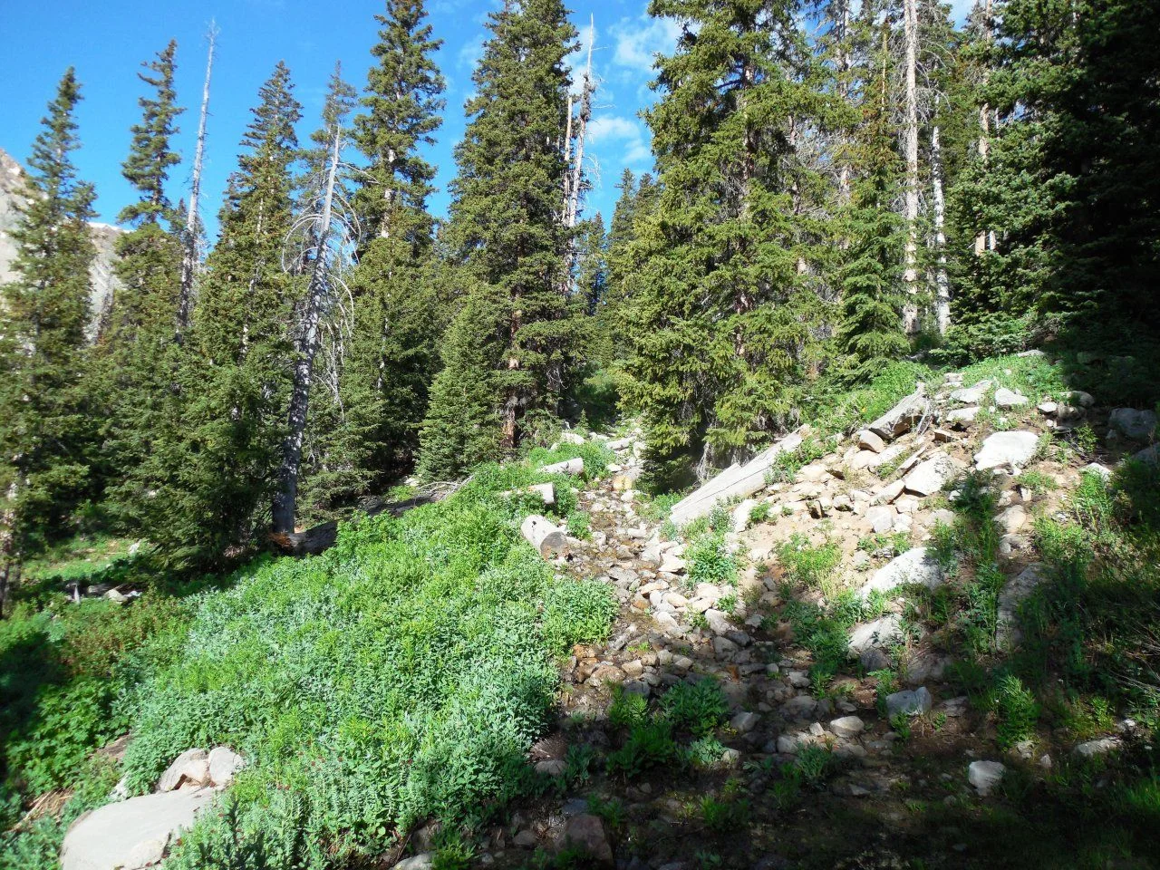20140630_D_Hope Lake Hike.webp