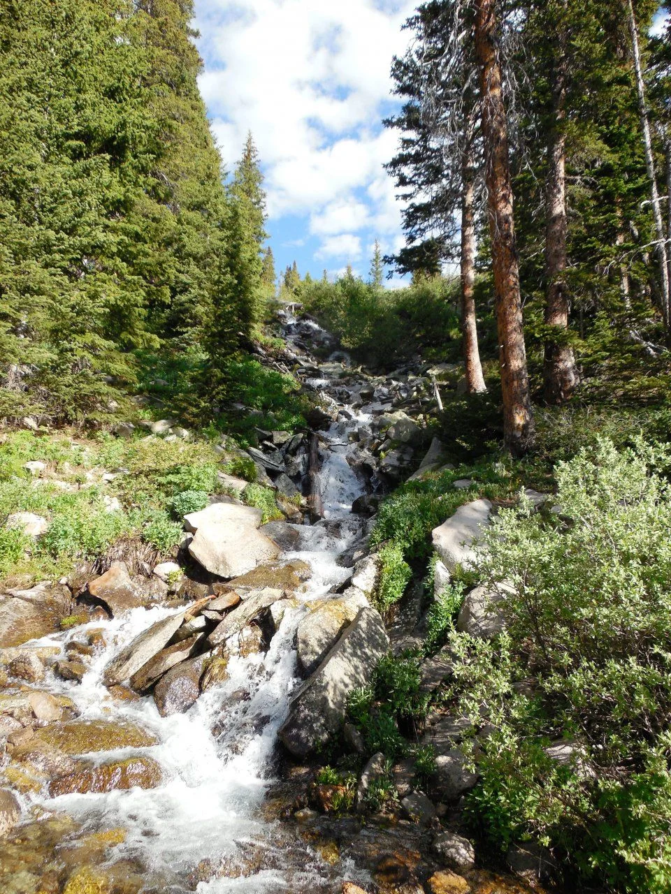 20140630_E_Hope Lake Hike.webp