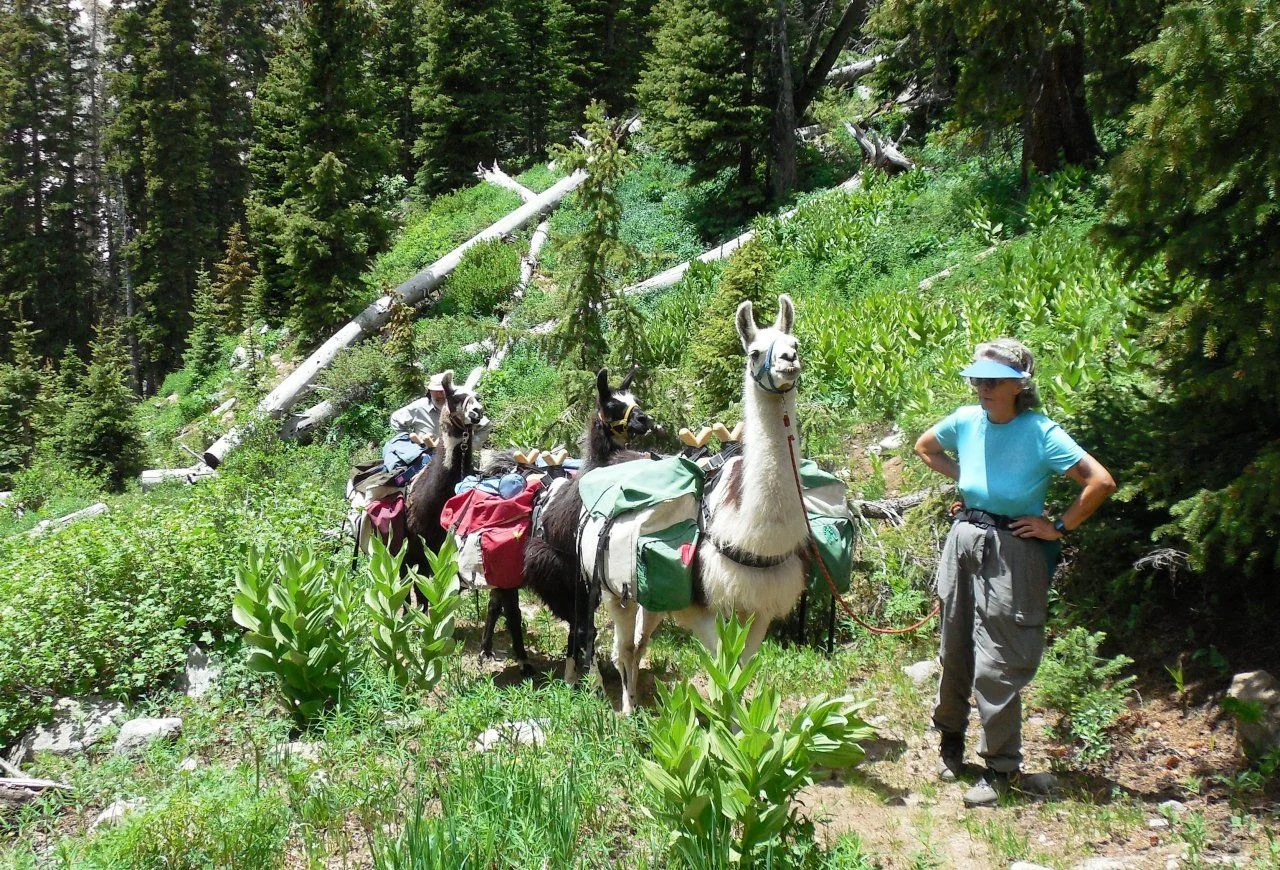 20140630_ZE_Hope Lake Hike.webp