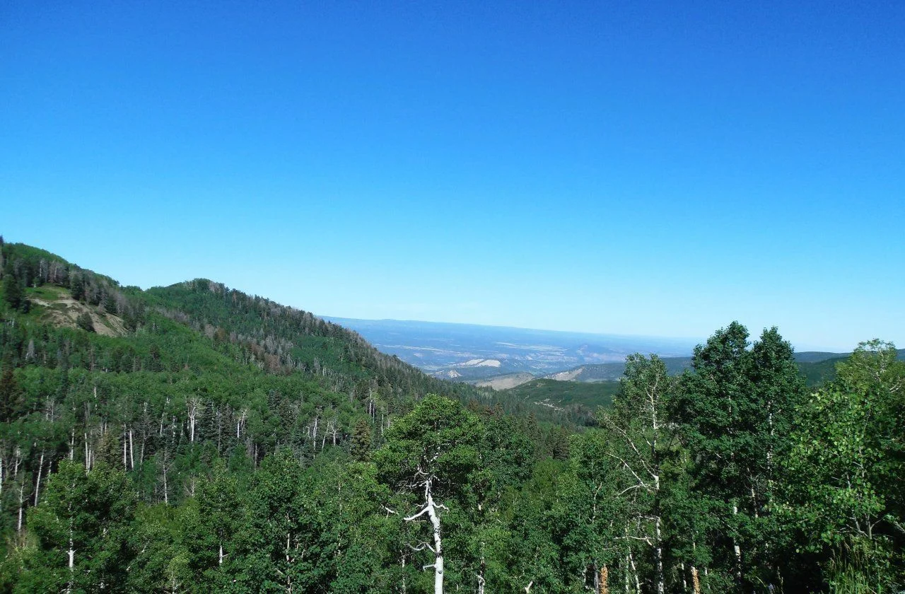 20140701_E_Owl Creek Pass Trail.webp