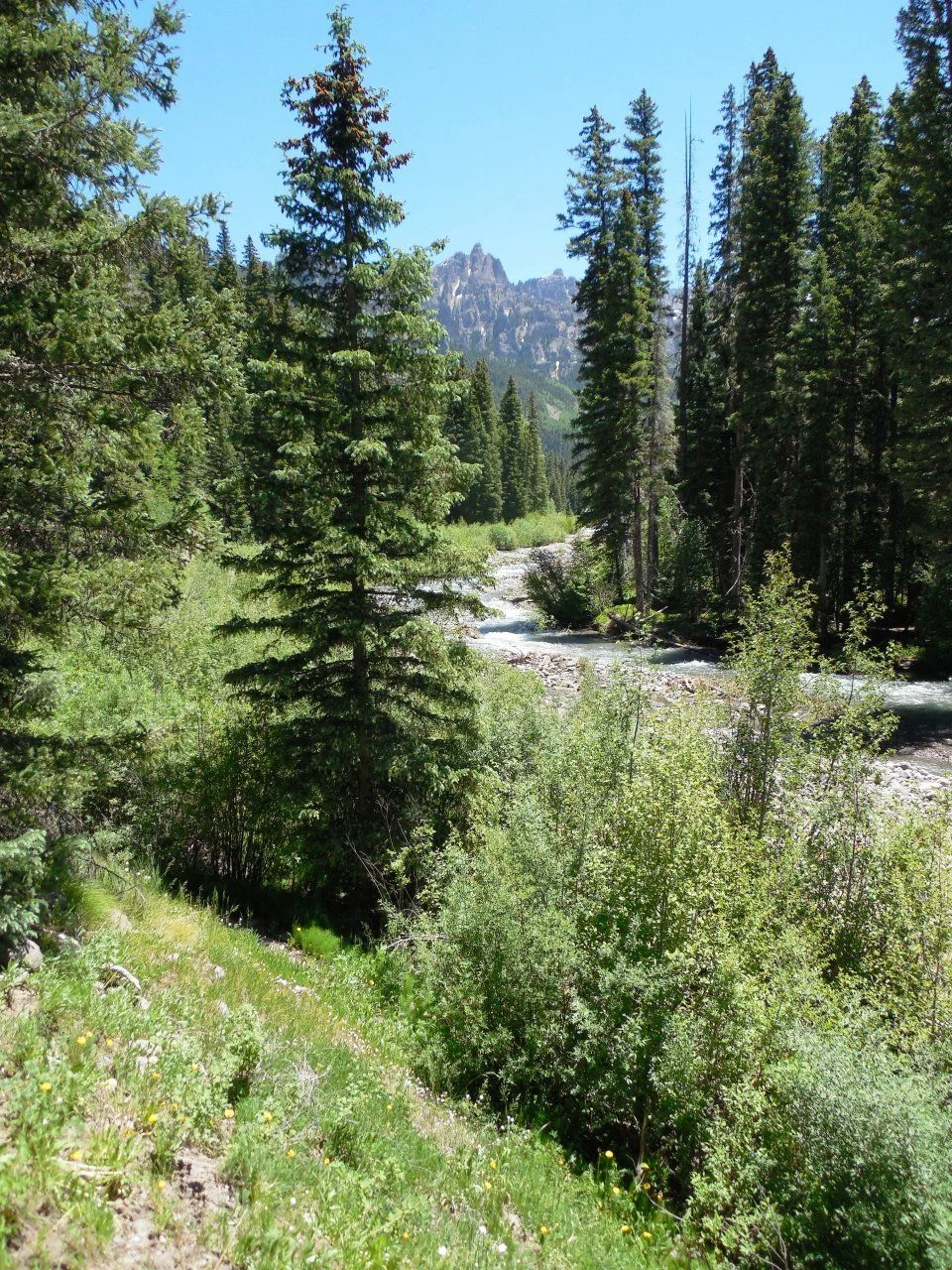 20140701_N_Up East Fork.webp
