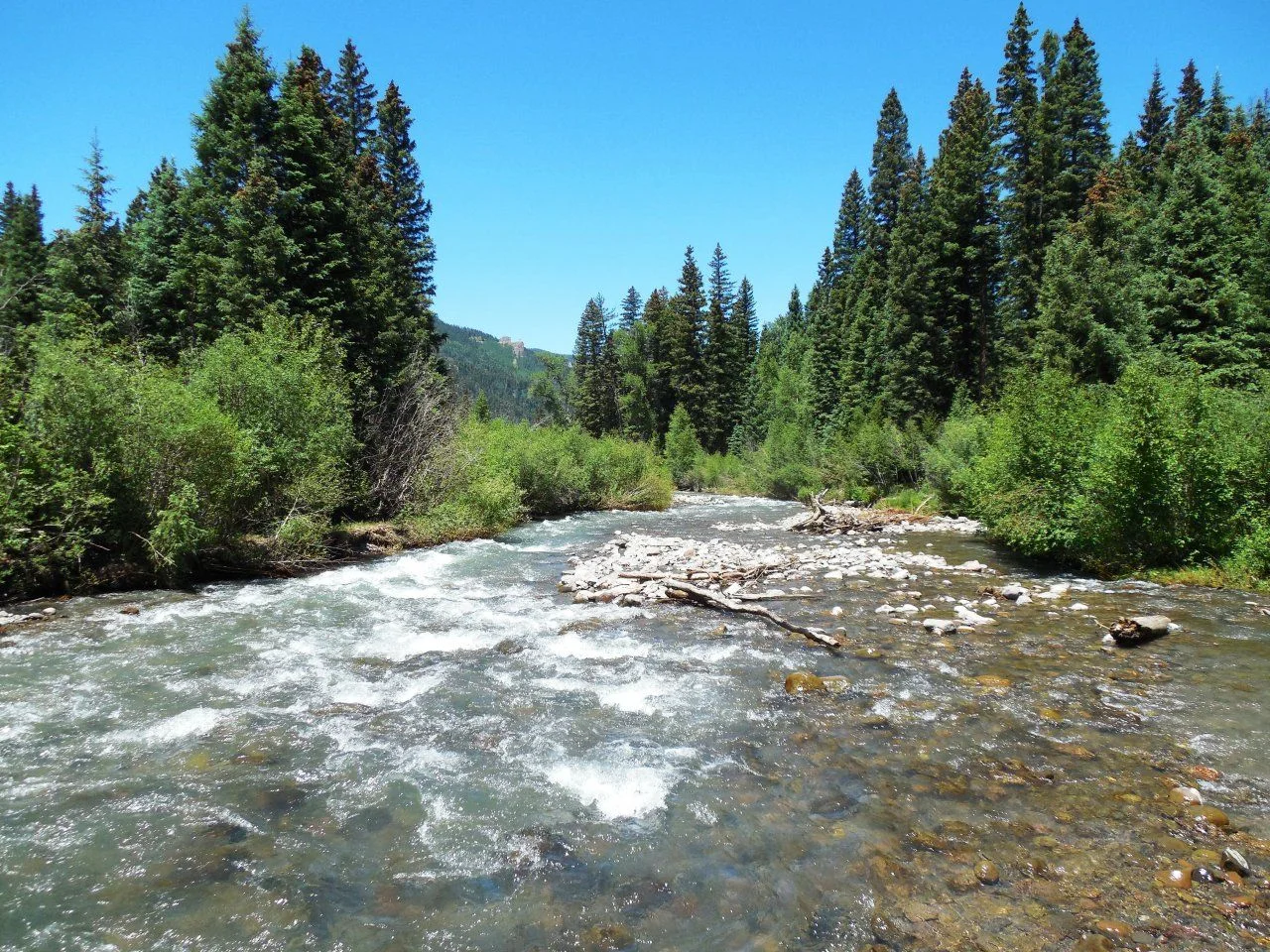20140701_O_Down East Fork.webp