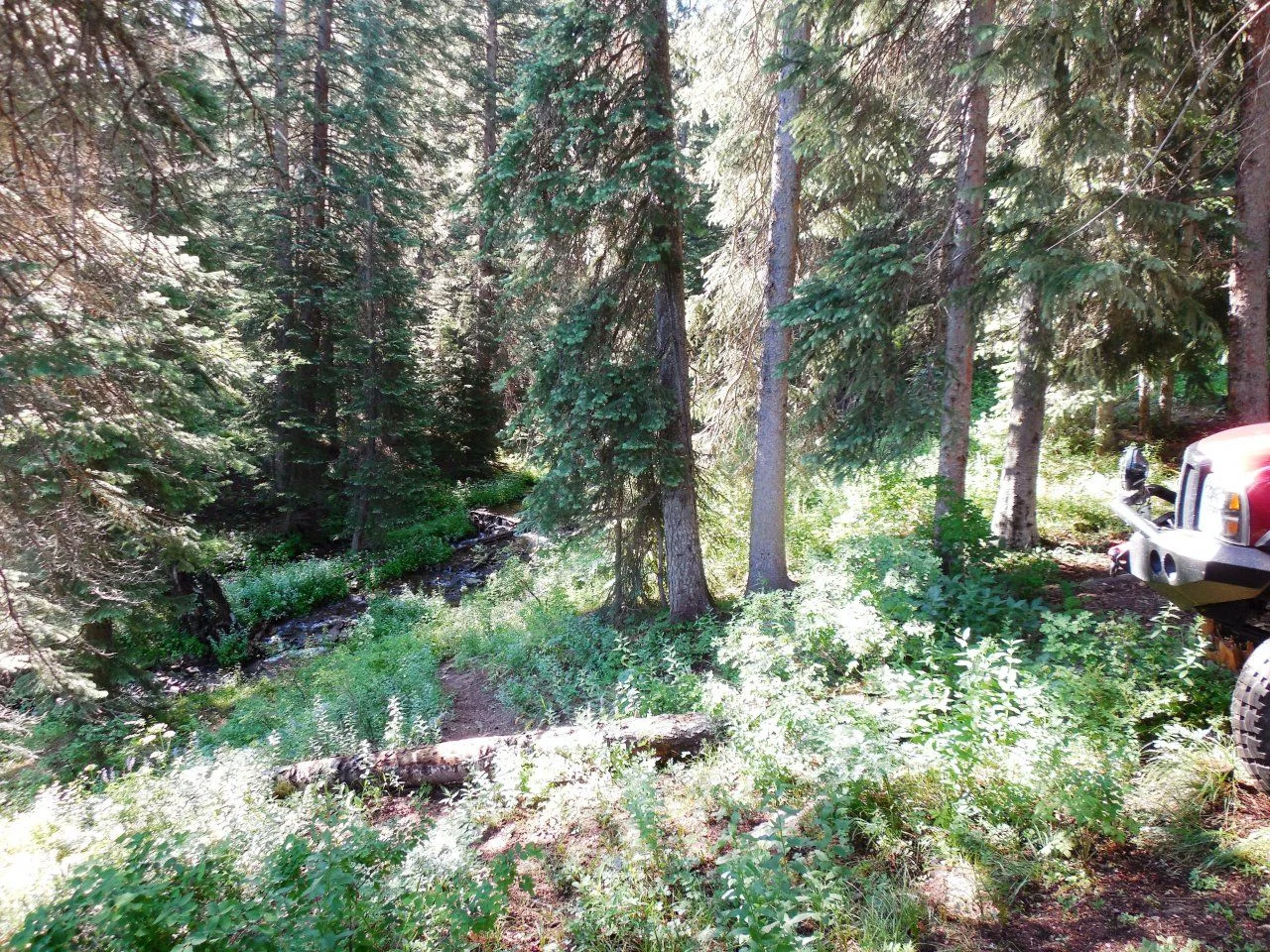 20140717_G_Babbling Brook.webp