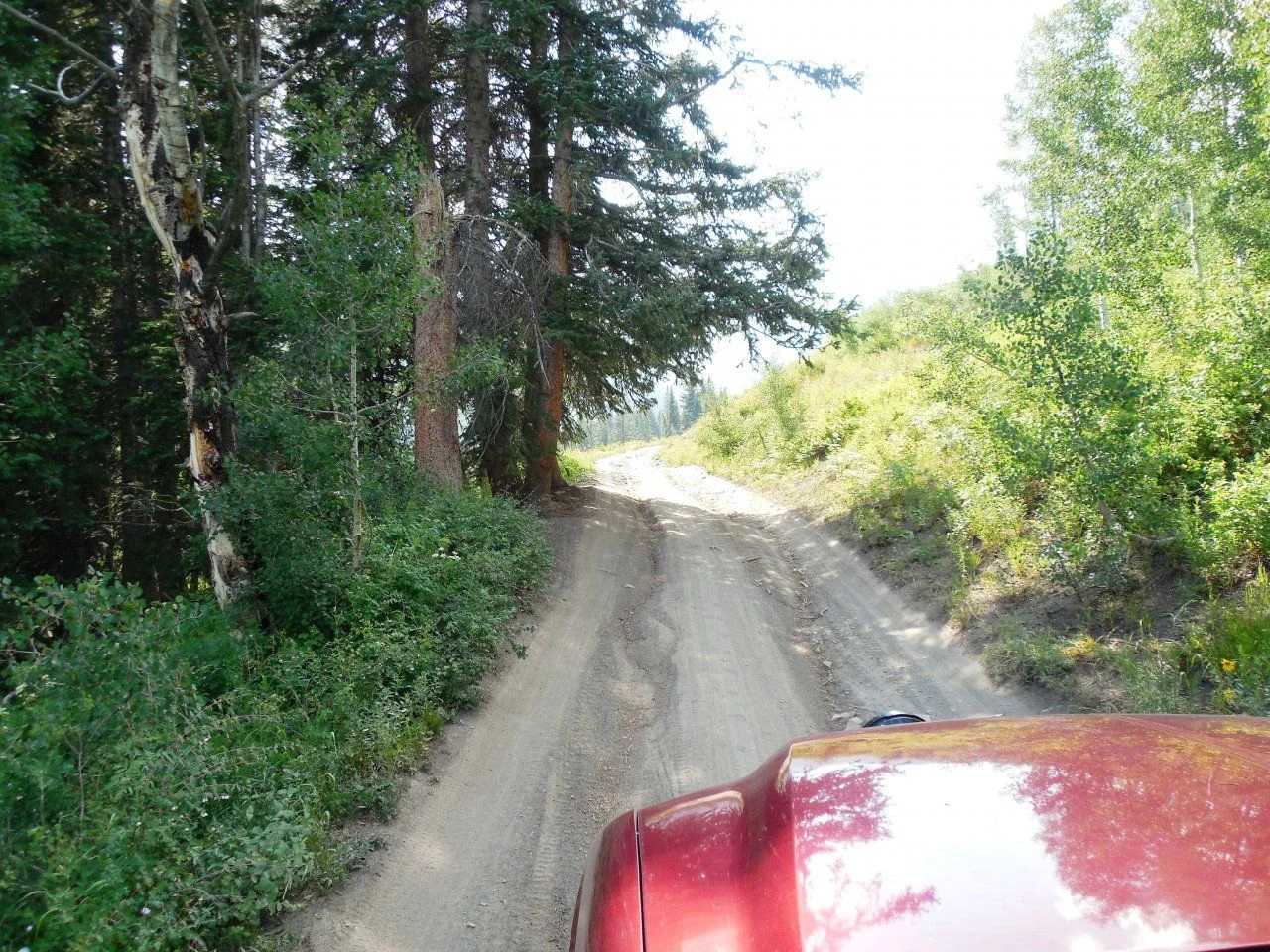 20140719_I_Daisy Pass Road.webp