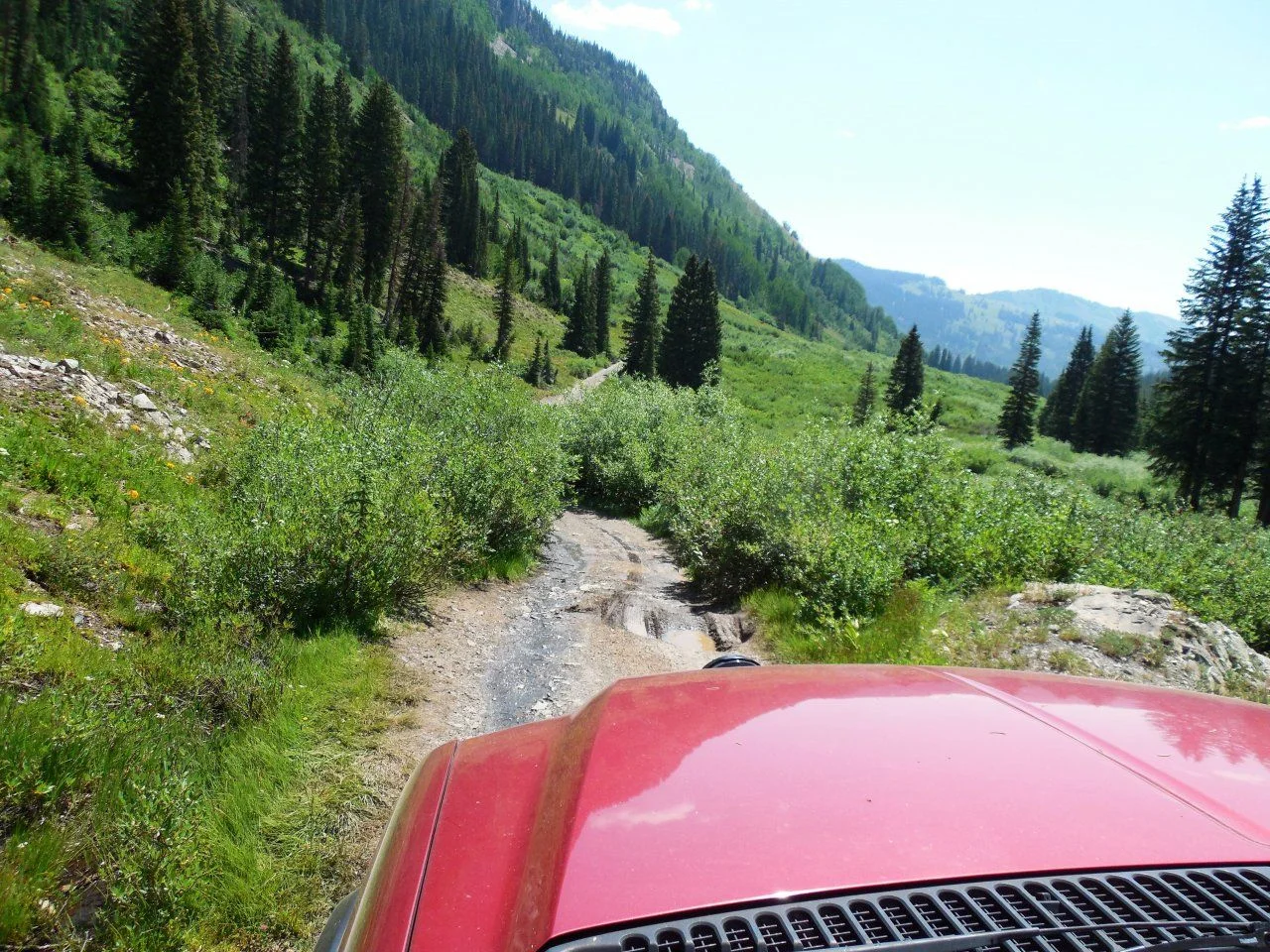 20140720_B_Daisy Pass Road.webp