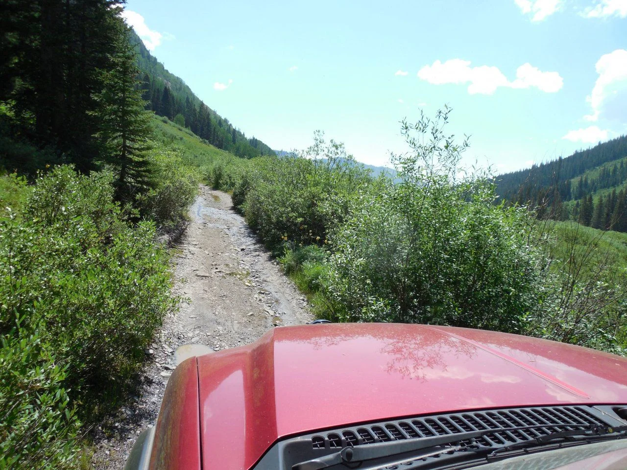 20140720_C_Daisy Pass Road.webp