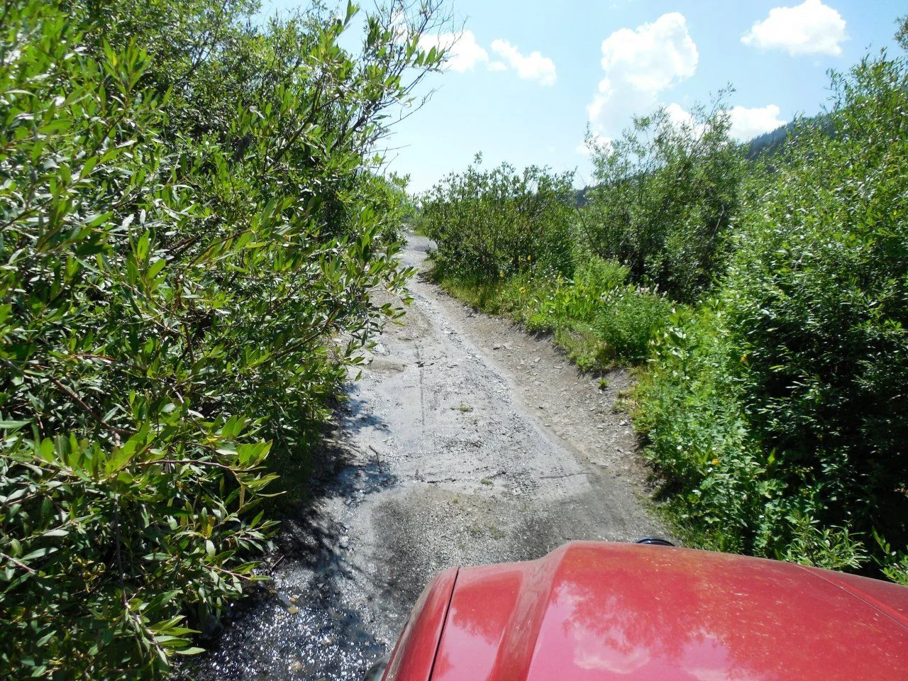 20140720_D_Daisy Pass Road.webp