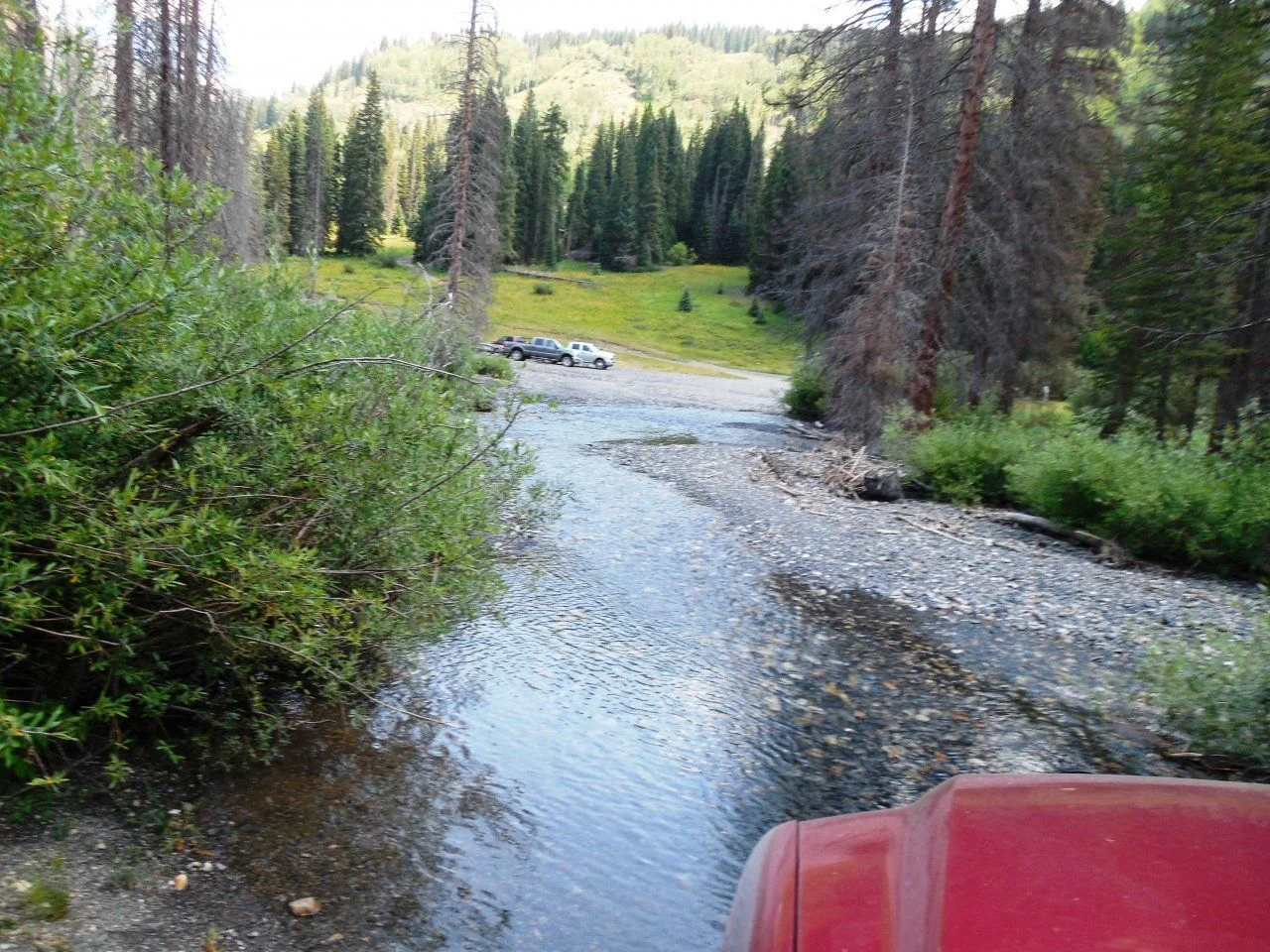 20140720_E_Daisy Pass Road.webp