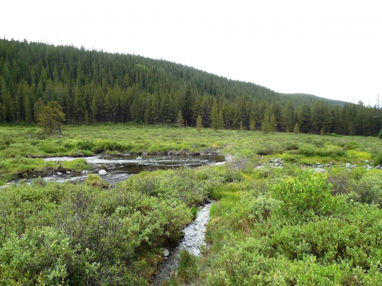 20140720_K_Camp below Mirror Lake.webp