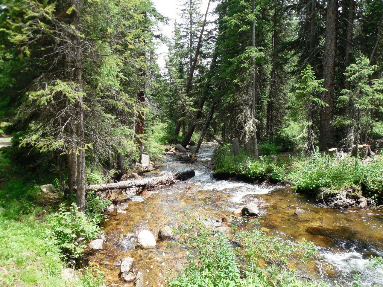 20140721_T_Chalk Creek.webp