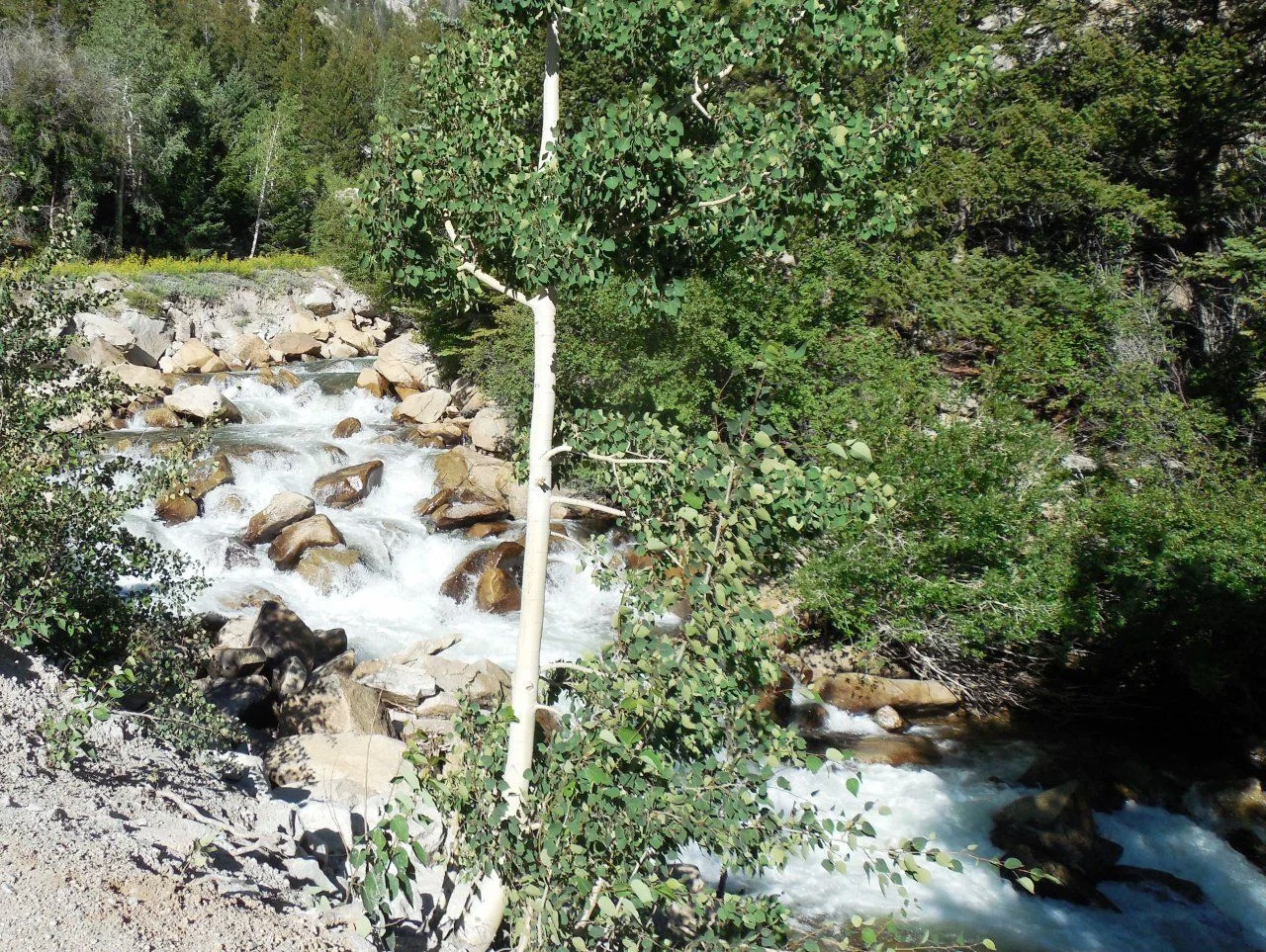 20140722_B_Cascade Falls.webp