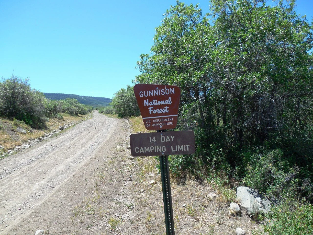 20140722_S_National Forest Boundary.webp
