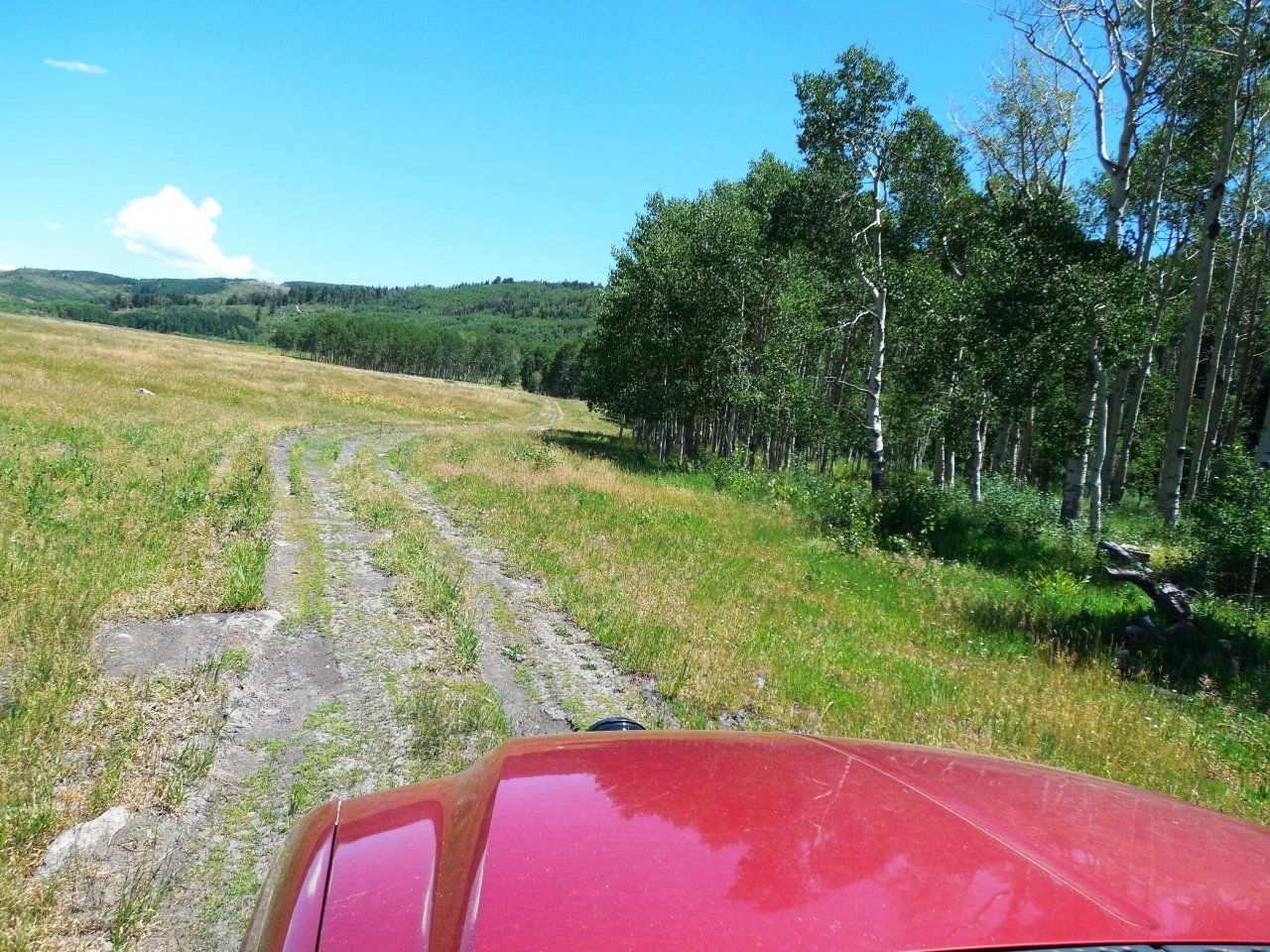20140722_U_National Forest Road 716-2A.webp