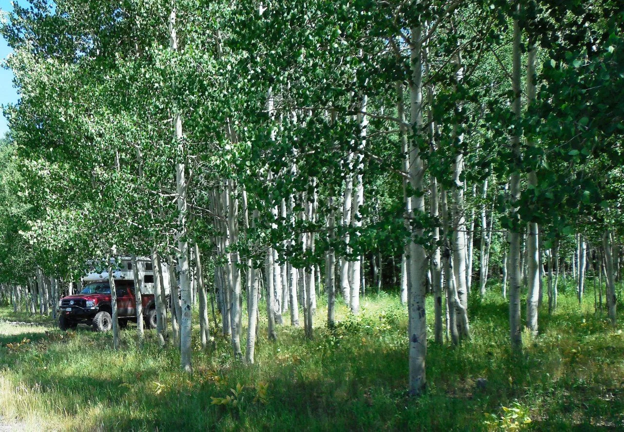 20140722_W_Camp.webp