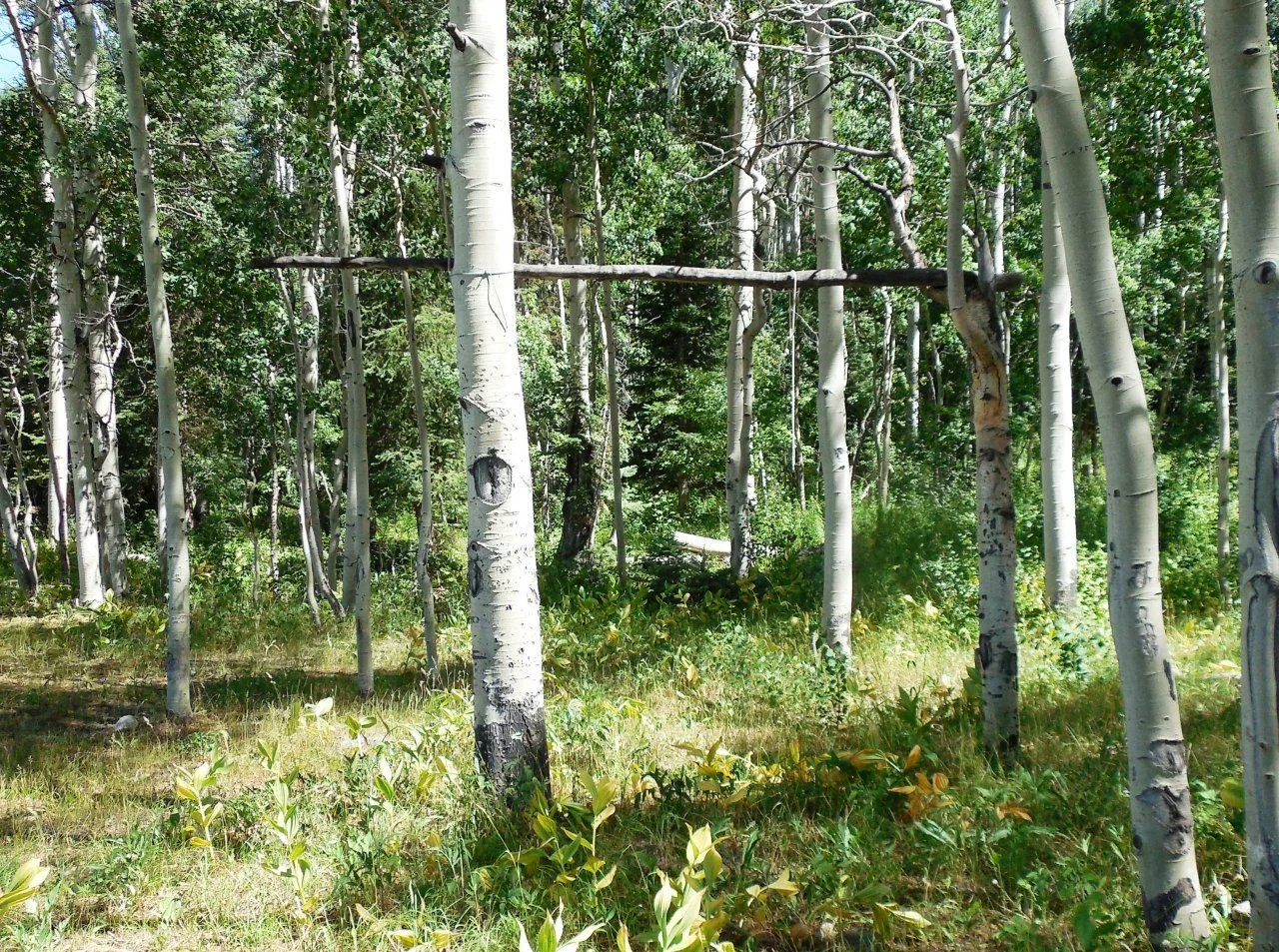 20140722_Y_Camp.webp