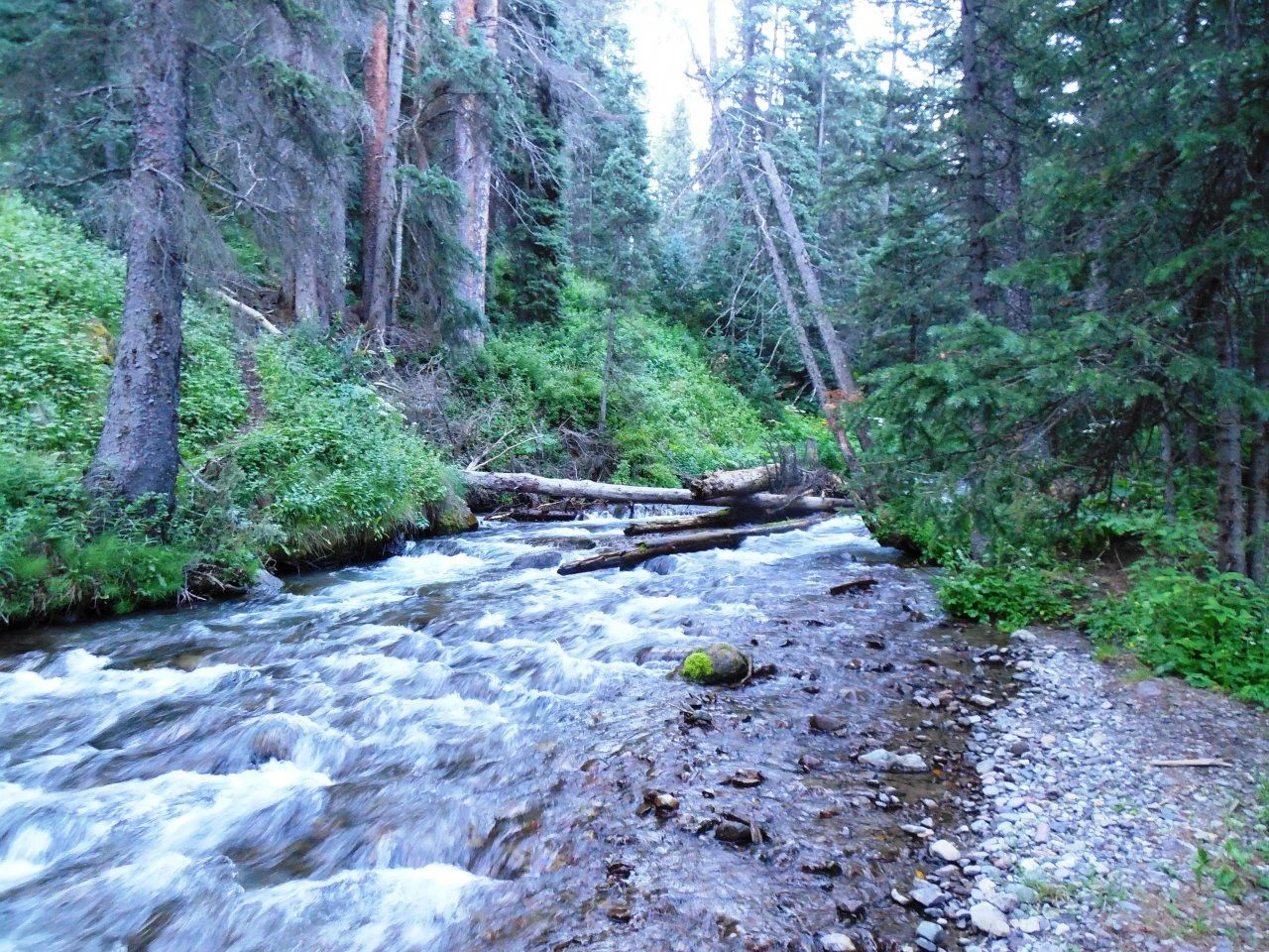 20140808_2_Dallas Creek Camp.webp